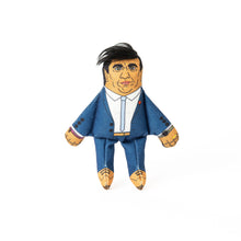 Load image into Gallery viewer, Rishi Sunak cat toy