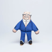 Load image into Gallery viewer, Joe cat toy