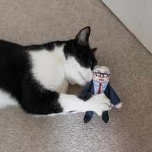 Load image into Gallery viewer, Michael Gove cat toy
