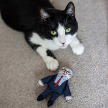 Load image into Gallery viewer, Michael Gove cat toy