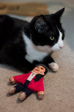 Load image into Gallery viewer, Priti Pawtel cat toy