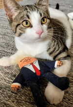 Load image into Gallery viewer, Donald Trump Cat Toy