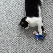 Load image into Gallery viewer, Joe cat toy