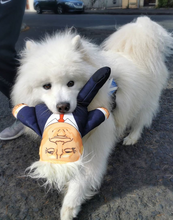 Load image into Gallery viewer, Donald Trump Dog Toy