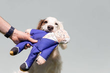 Load image into Gallery viewer, Joe Biden dog toy with white and brown dog