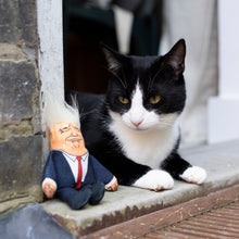 Load image into Gallery viewer, Donald Trump Cat Toy
