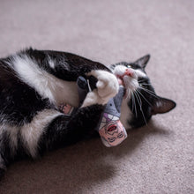 Load image into Gallery viewer, Nigel Farage cat toy
