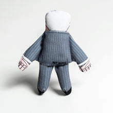 Load image into Gallery viewer, Nigel Farage cat toy
