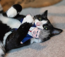 Load image into Gallery viewer, Keir Starmer cat toy
