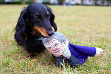 Load image into Gallery viewer, Keir Starmer Dog Toy
