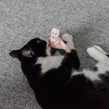 Load image into Gallery viewer, Vladimir Putin cat toy
